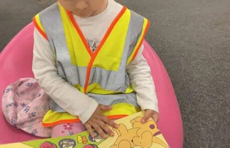 Monkey Puzzle Regents Terrace (3)